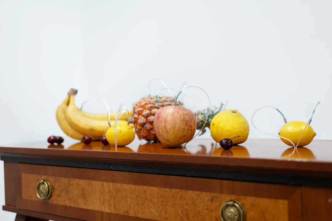 Yuko Mohri, Decomposition, 2024, promotional image for The Bass exhibition