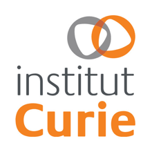 American Friends of Institut Curie official organizer identity